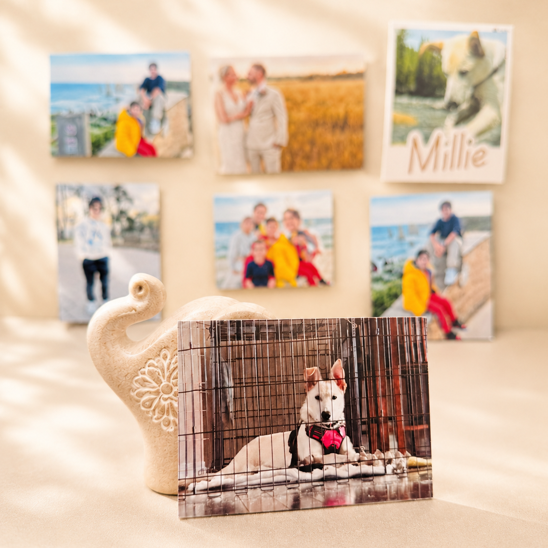 Custom Flexible Photo Magnets
