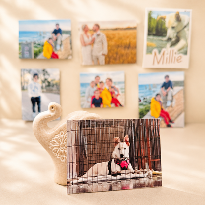 Custom Flexible Photo Magnets